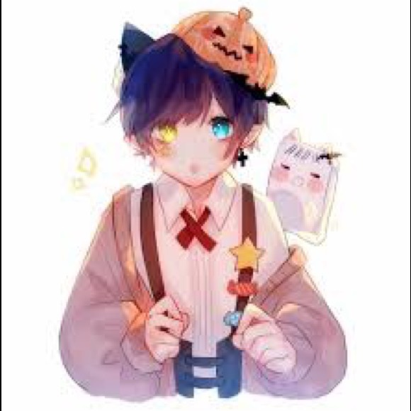 Meet your Posher, Avery - Picture 6 of 8